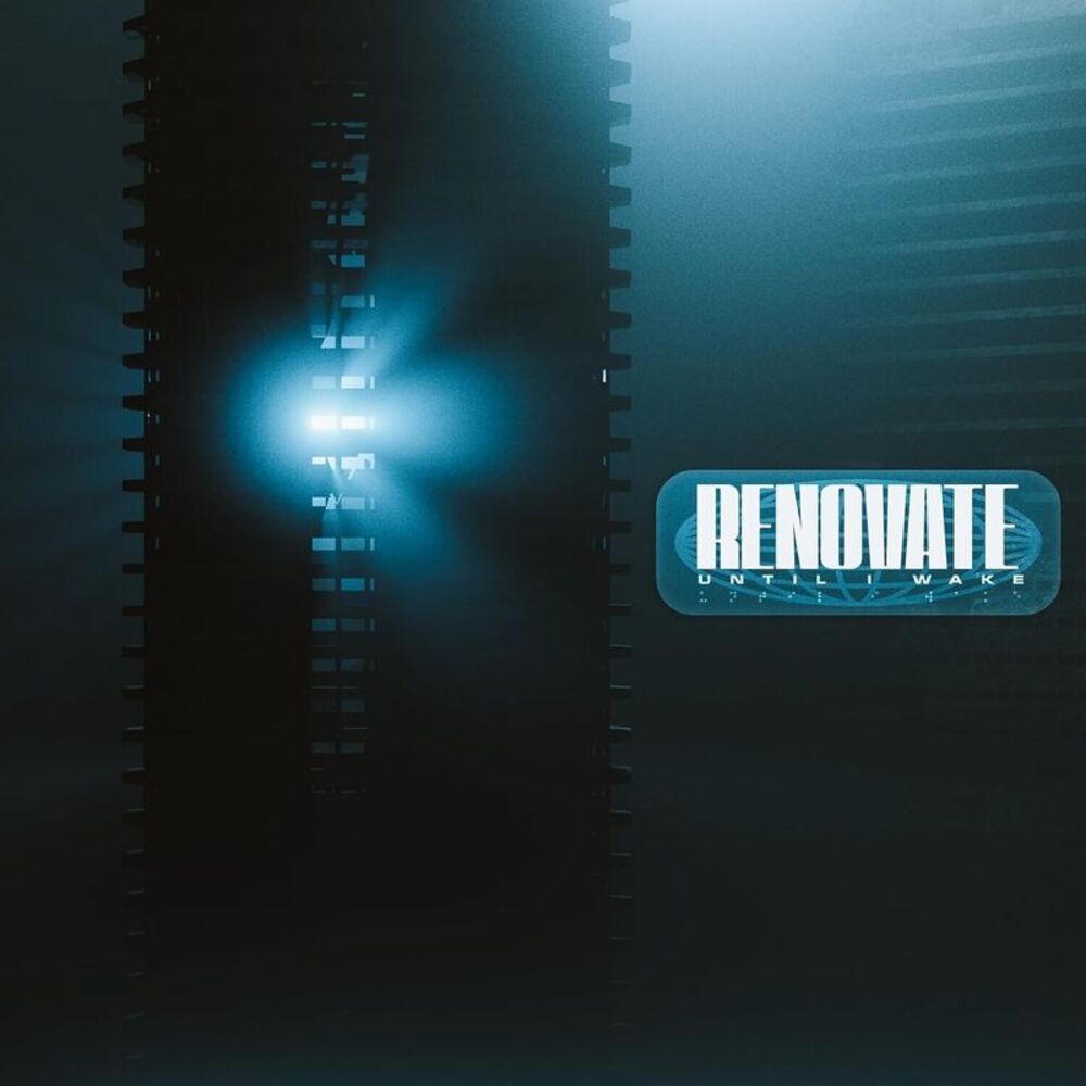 Until I Wake - Renovate  LP LP